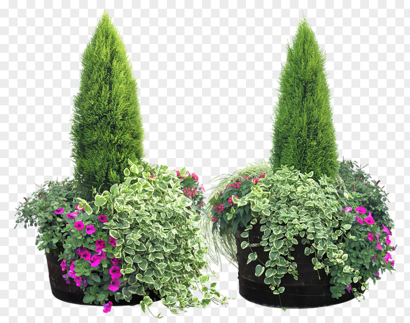 Parterre Clip Art PNG