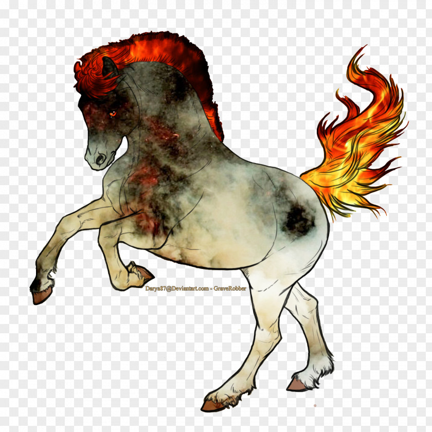 Quarter Horse Mane Mustang Pony Stallion Pack Animal PNG