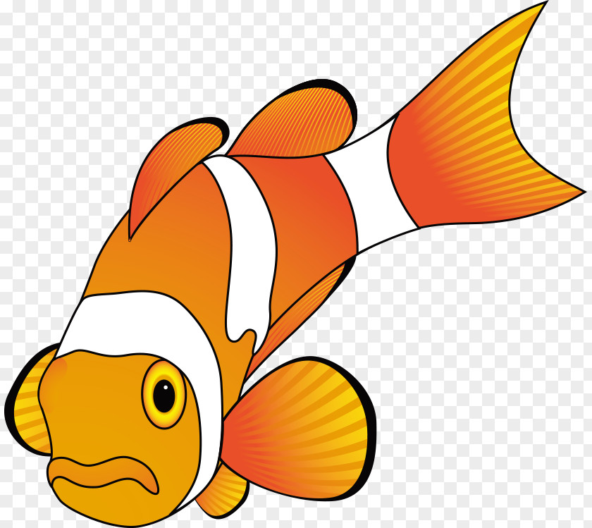 Vector Cartoon Fish Animation Clip Art PNG