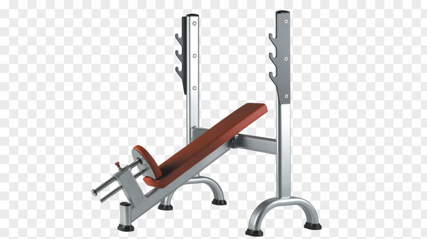 BENCHES Bench Press Bank Fitness Centre Weight Training PNG