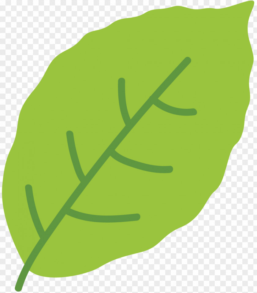 Clip Art Leaf Greens Plant Stem Product Design PNG