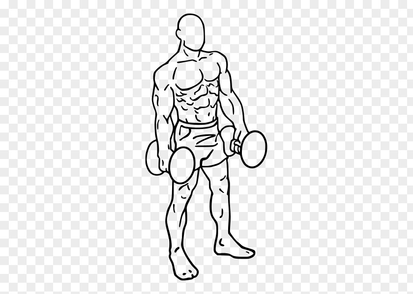 Dumbbell Front Raise Exercise Fly Deltoid Muscle PNG