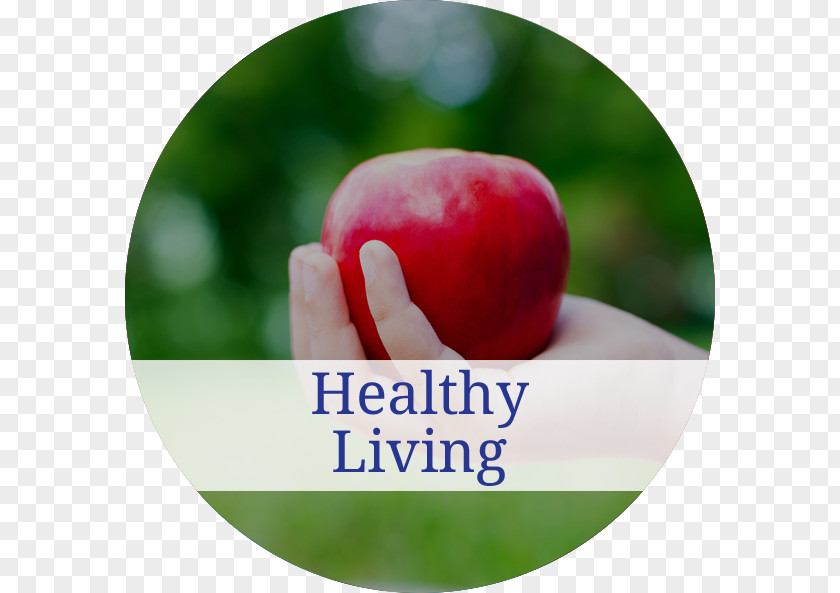 Healthy Living Stock Photography Depositphotos Royalty-free Royalty Payment PNG