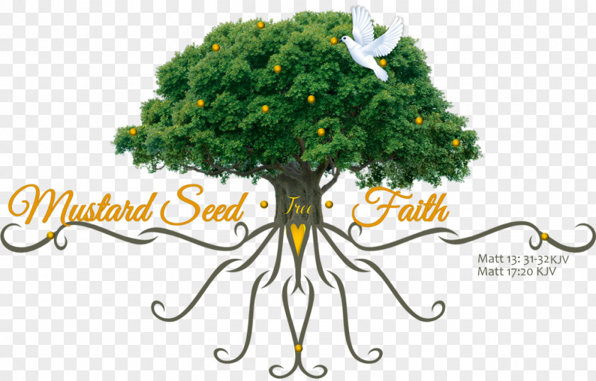 Parable Of The Mustard Seed Plant PNG