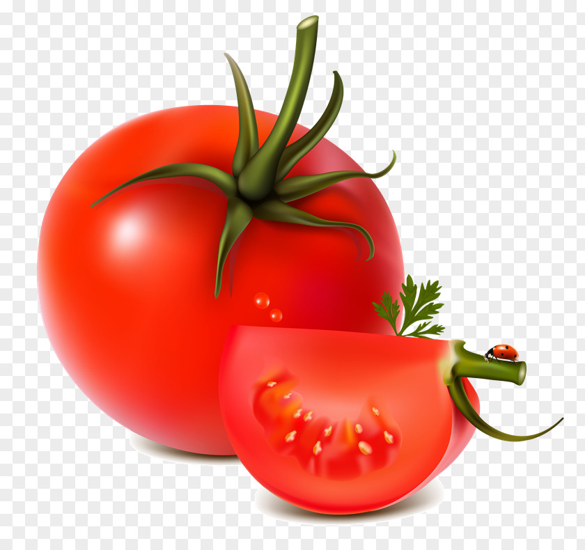 Vegetable Caprese Salad Tomato Juice Clip Art PNG