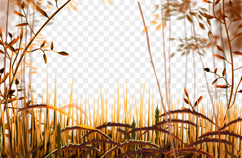 Cartoon Autumn Landscape Dry Yellow Grass PNG