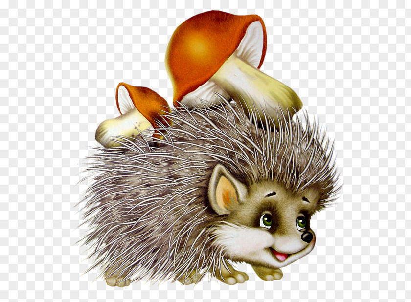 Chapathi Hedgehog Clip Art PNG