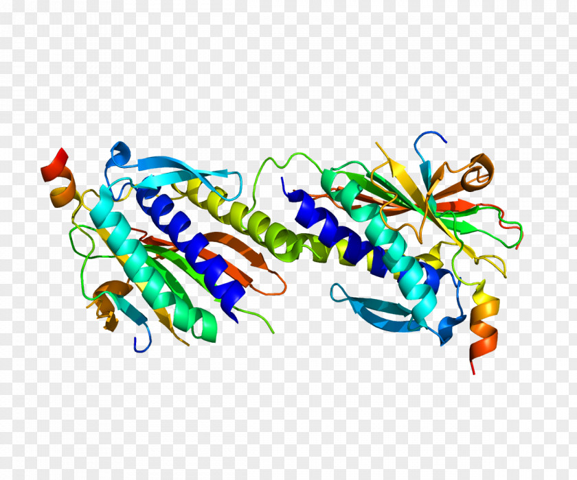 Chromosome MAD2L2 REV3L Protein Gene DNA PNG