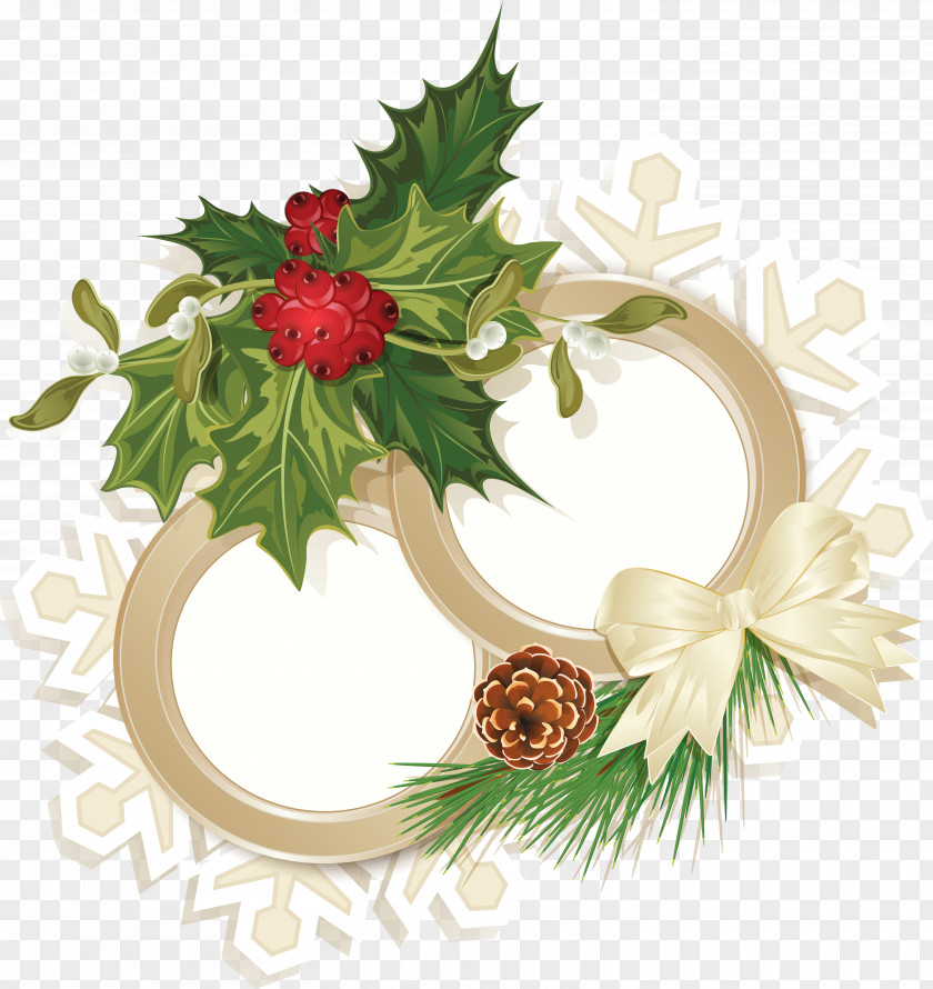Conch Christmas Pattern PNG