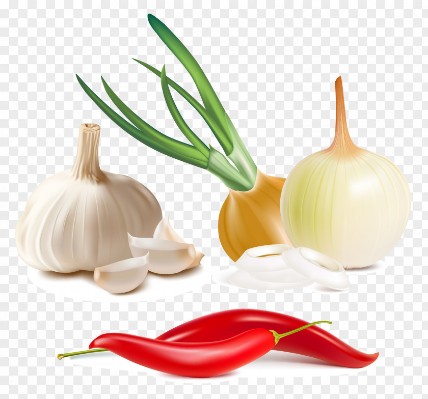 Garlic Free Pull Vector Download Chili Pepper Capsicum Vegetable Bell PNG