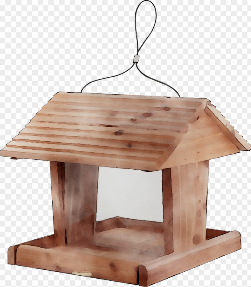 /m/083vt Bird Feeders Product Design PNG