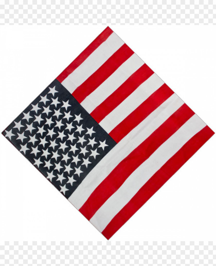 Patriotic And Dedicated Flag Of The United States Barbecue Kerchief Spice Rub PNG