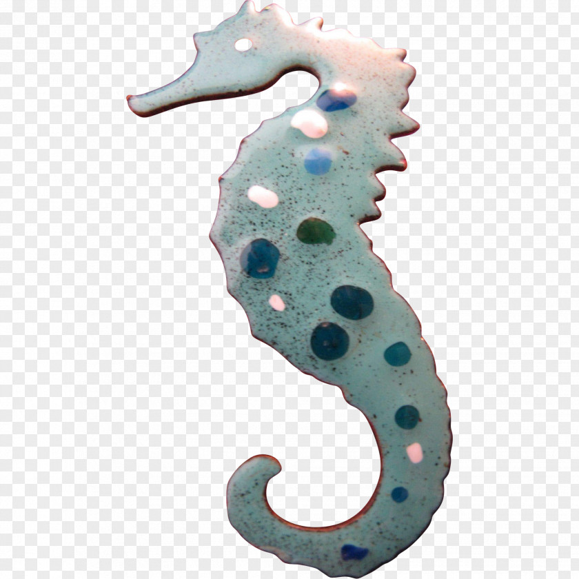 Seahorse Turquoise Syngnathiformes Teal Organism PNG