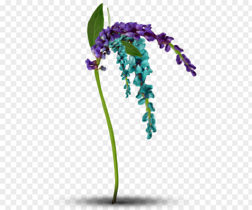 Violet Lavender Plant Stem PNG