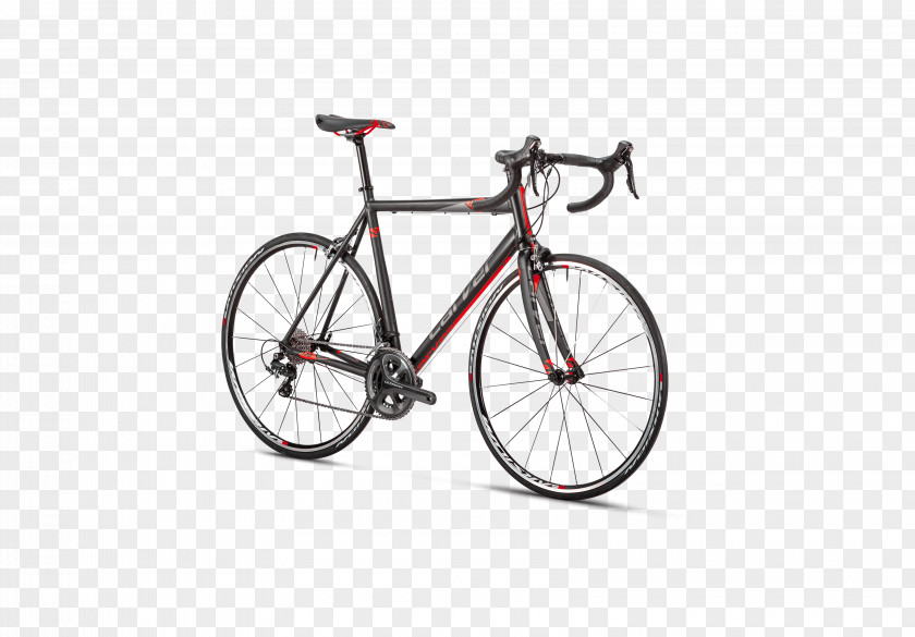 Bicycle Giant Bicycles Specialized Components Racing Cycling PNG