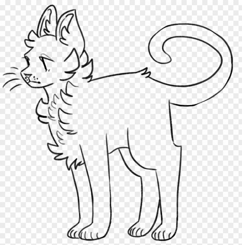 Cat Whiskers Line Art Kitten Drawing PNG