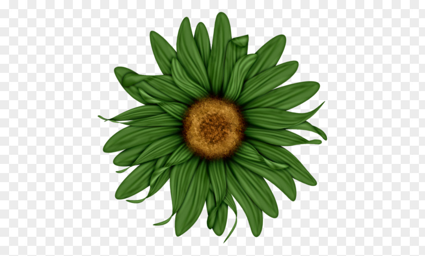 Gerbera Flower Desktop Wallpaper Clip Art PNG