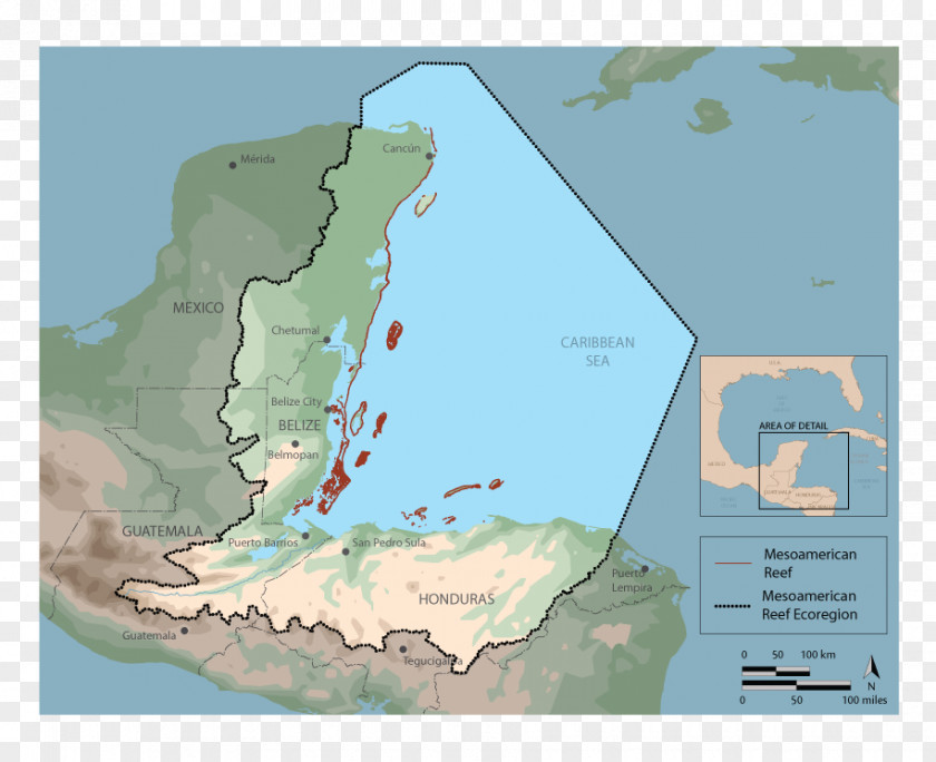 Placencia Village, BelizeBarneys Barrier Reef Belize Mesoamerican System Great Chabil Mar Resort PNG