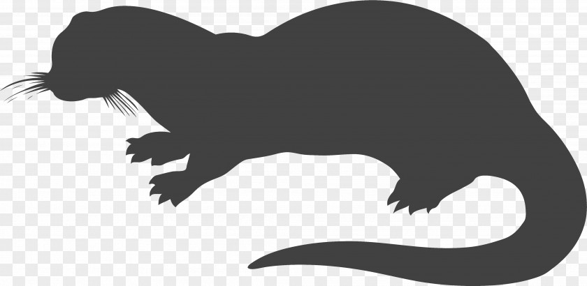Polecat Beaver Mustelidae Ferret Silhouette Mustelinae Claw PNG