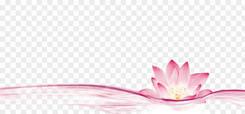 Simple Pink Flowing Decoration PNG