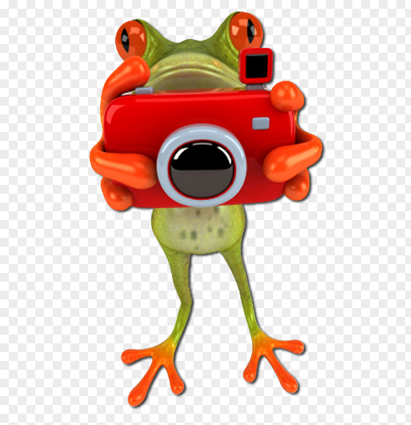 Frog Infocus Photography Insurance PNG