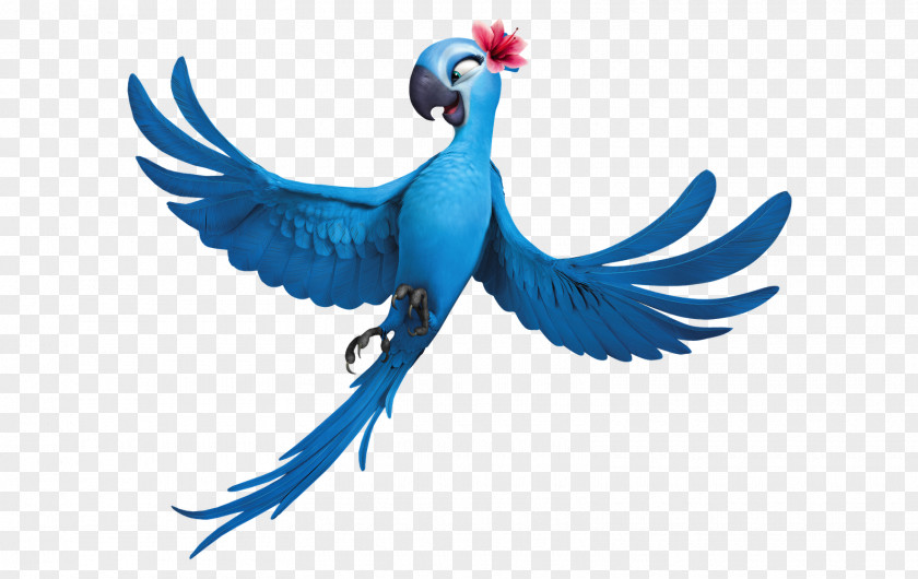 Parrot YouTube Animated Cartoon Rio Clip Art PNG