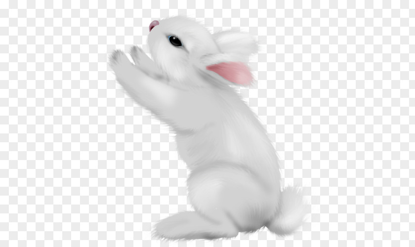 Rabbit Domestic Hare Easter Bunny Animal PNG
