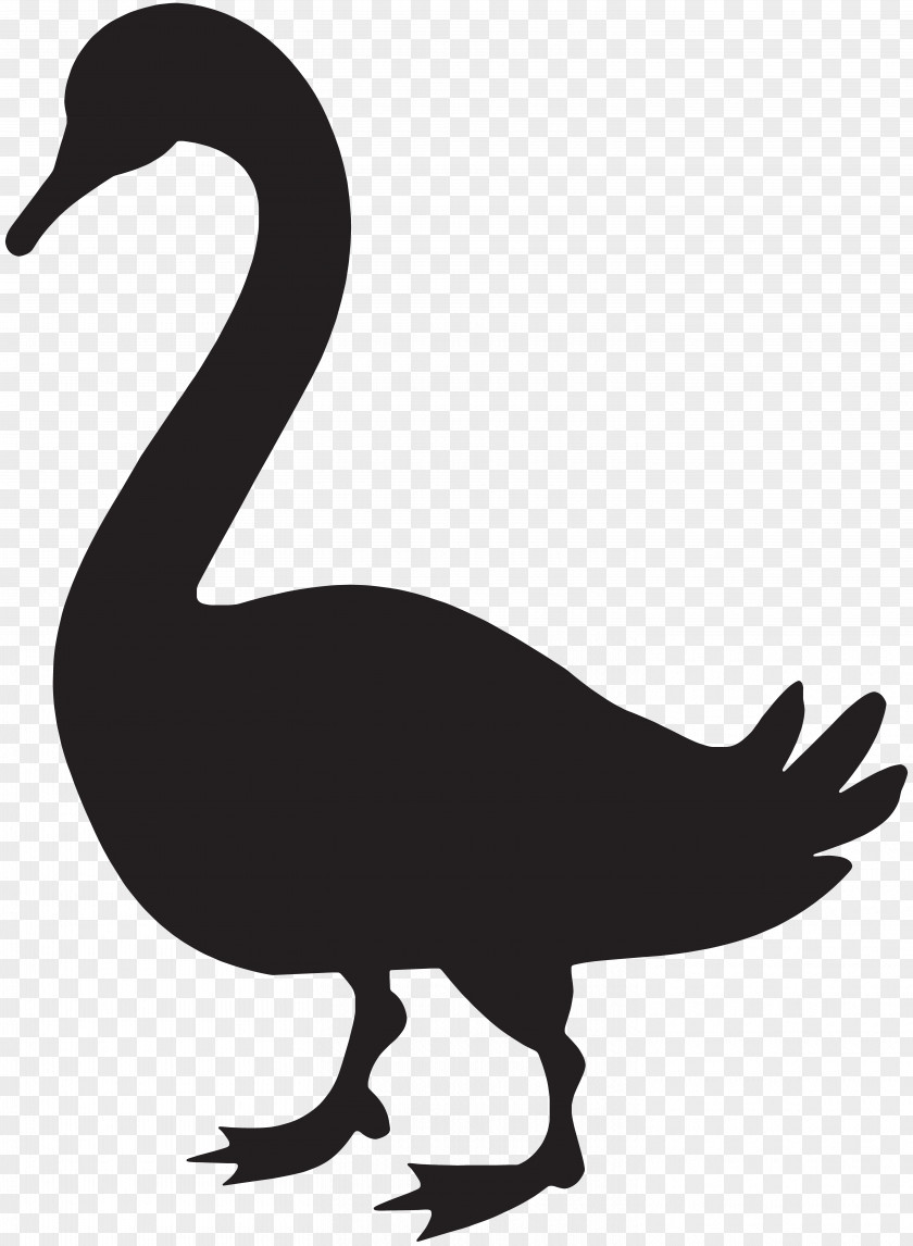 Goose Silhouette Clip Art Image Duck PNG