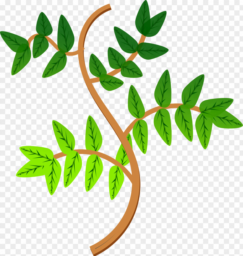 Green Leaves Branch Leaf Tree Clip Art PNG