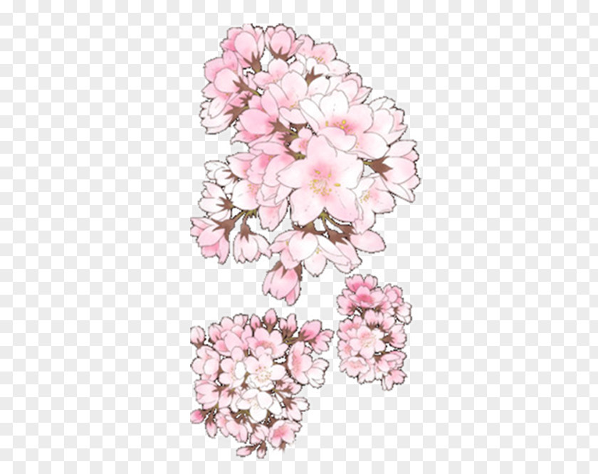 Pretty Cherry Jinhae Floral Design Blossom Drawing PNG