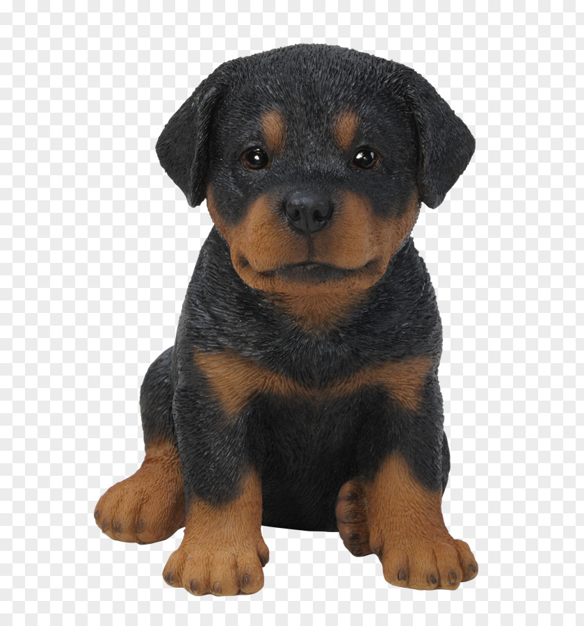 Puppy Rottweiler Chihuahua Dachshund Boxer PNG