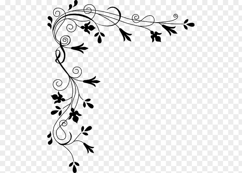 Flower White Floral Design Clip Art PNG