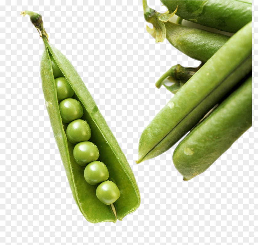 Pea Green Bean Vegetable Food Common PNG