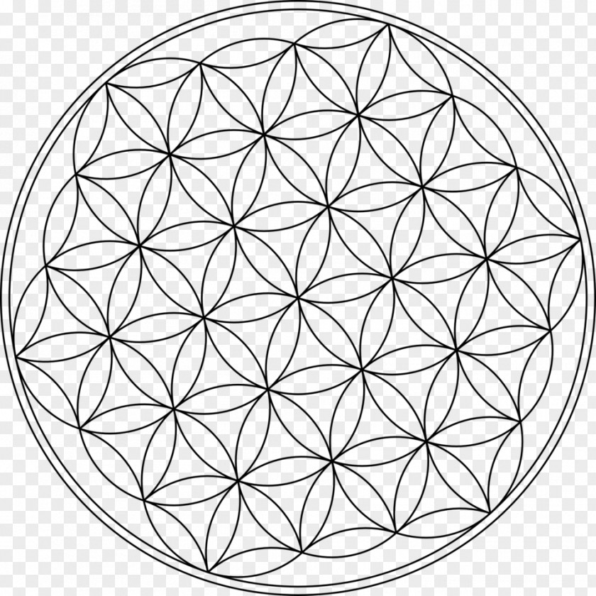 Symbol Overlapping Circles Grid Vitruvian Man Clip Art PNG