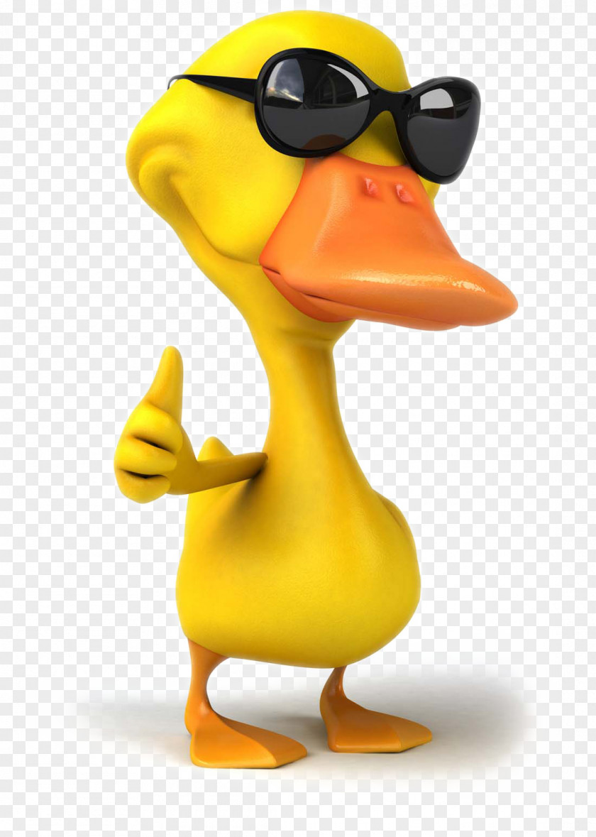 Cartoon Duck Pictures PNG