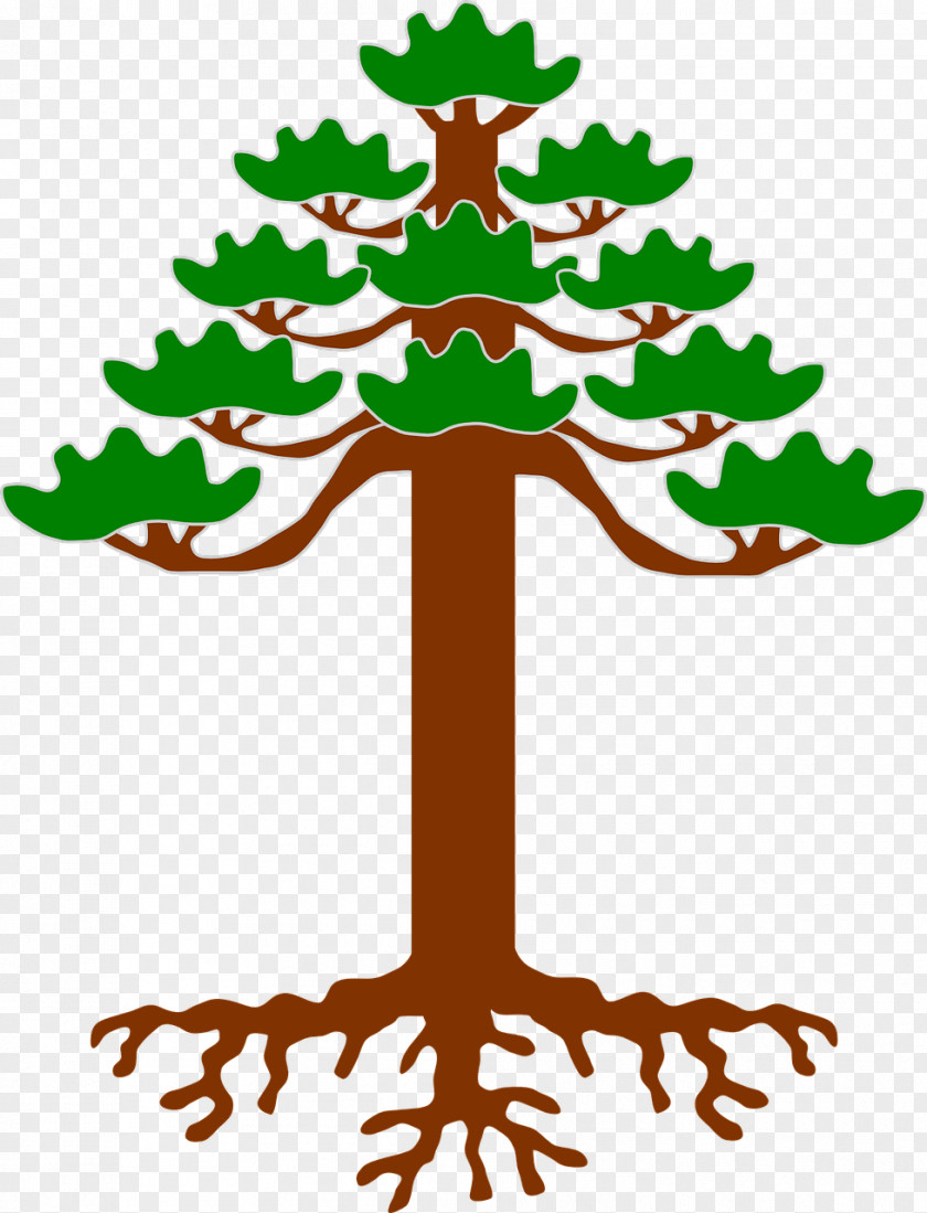 Tree Vector Ragunda Municipality Heraldry Figura PNG