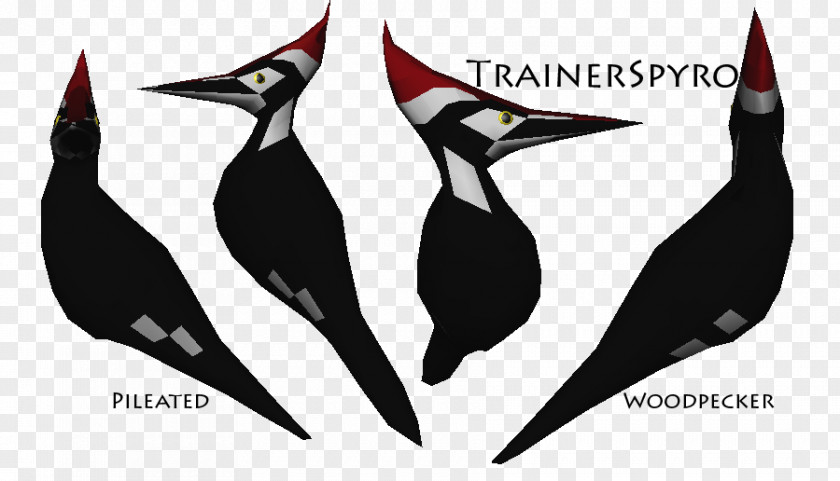 Woodpecker Beak PNG