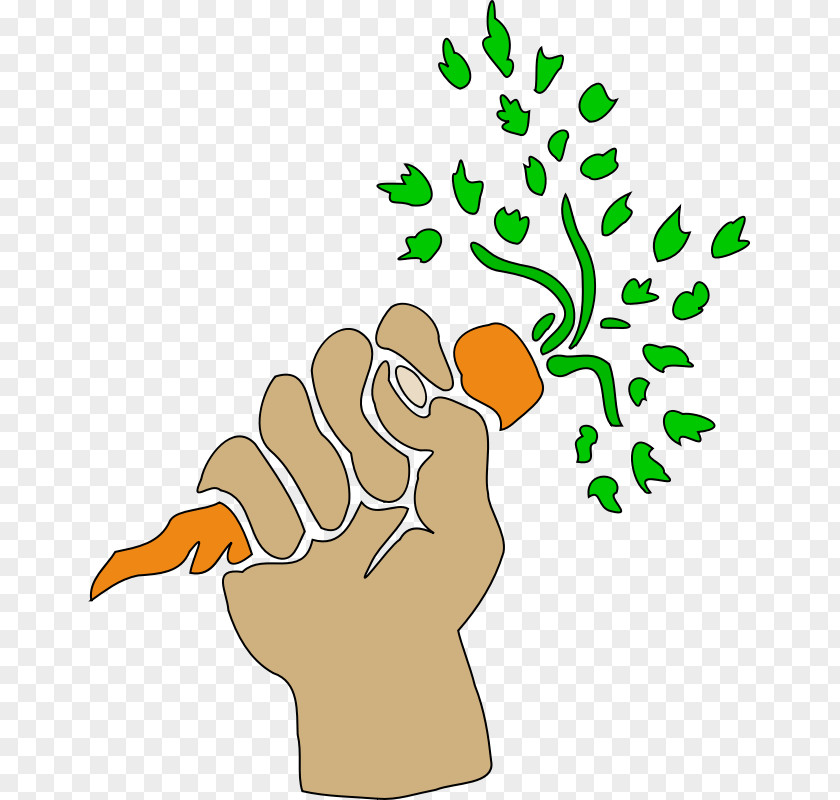 Carrot Picture Holding Hands Clip Art PNG