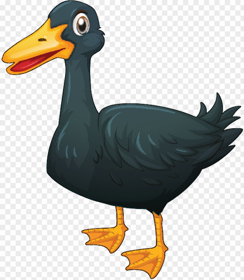 Duck Illustration Vector Graphics Royalty-free Stock Photography PNG