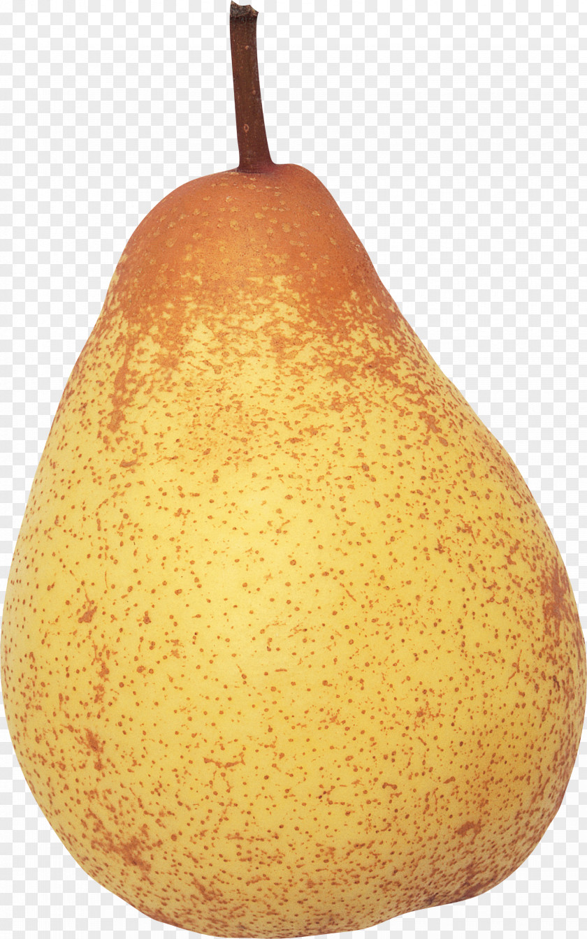 Pear Image Icon PNG
