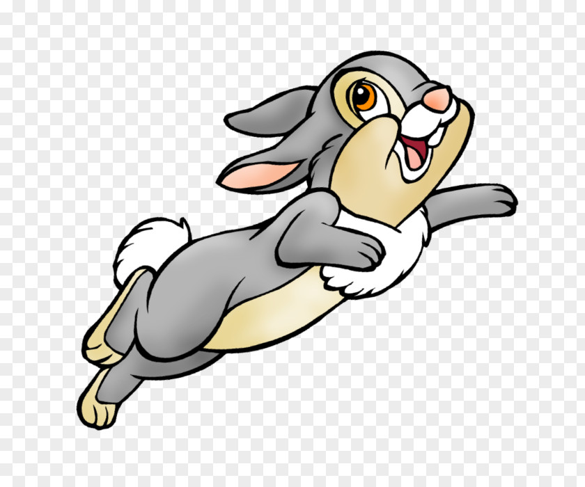 Rabbit Clip Art Hare Show Jumping Openclipart PNG