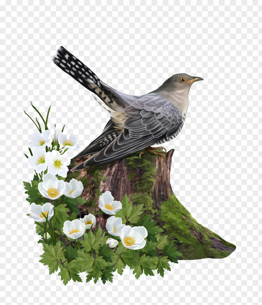 Bird On The Stump Euclidean Vector Tree Trunk PNG