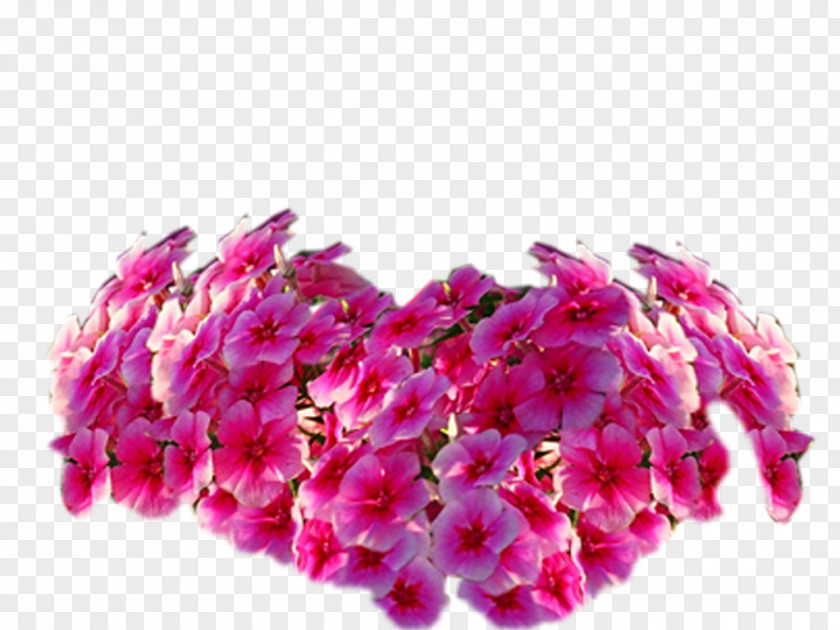 Flawer Flower Blog Petal PNG