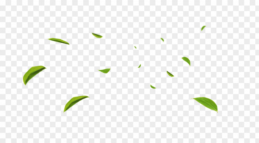 Free To Pull The Material Falling Leaves Download Copyright PNG