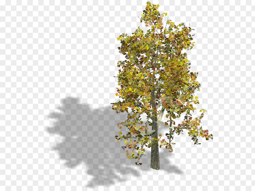 Sprite Twig Isometric Graphics In Video Games And Pixel Art Tree PNG
