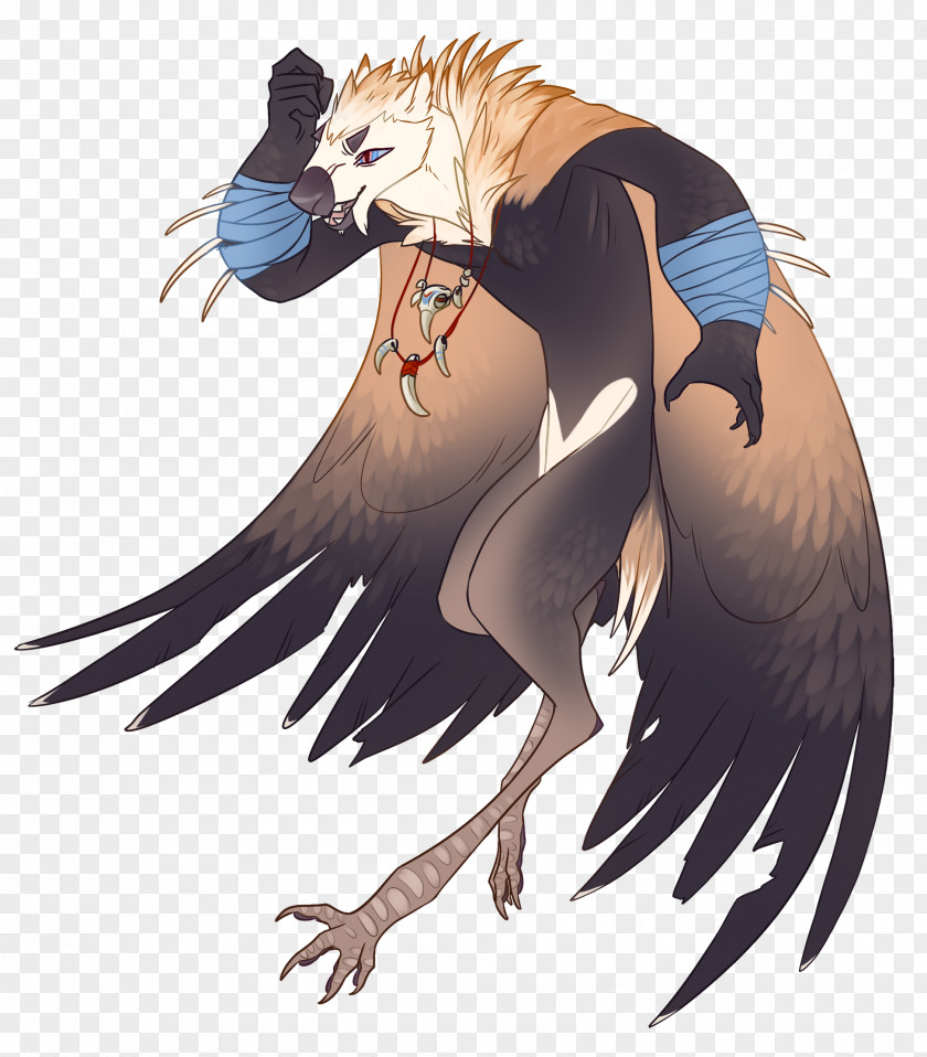 Vulture Bird Of Prey Feather Art PNG