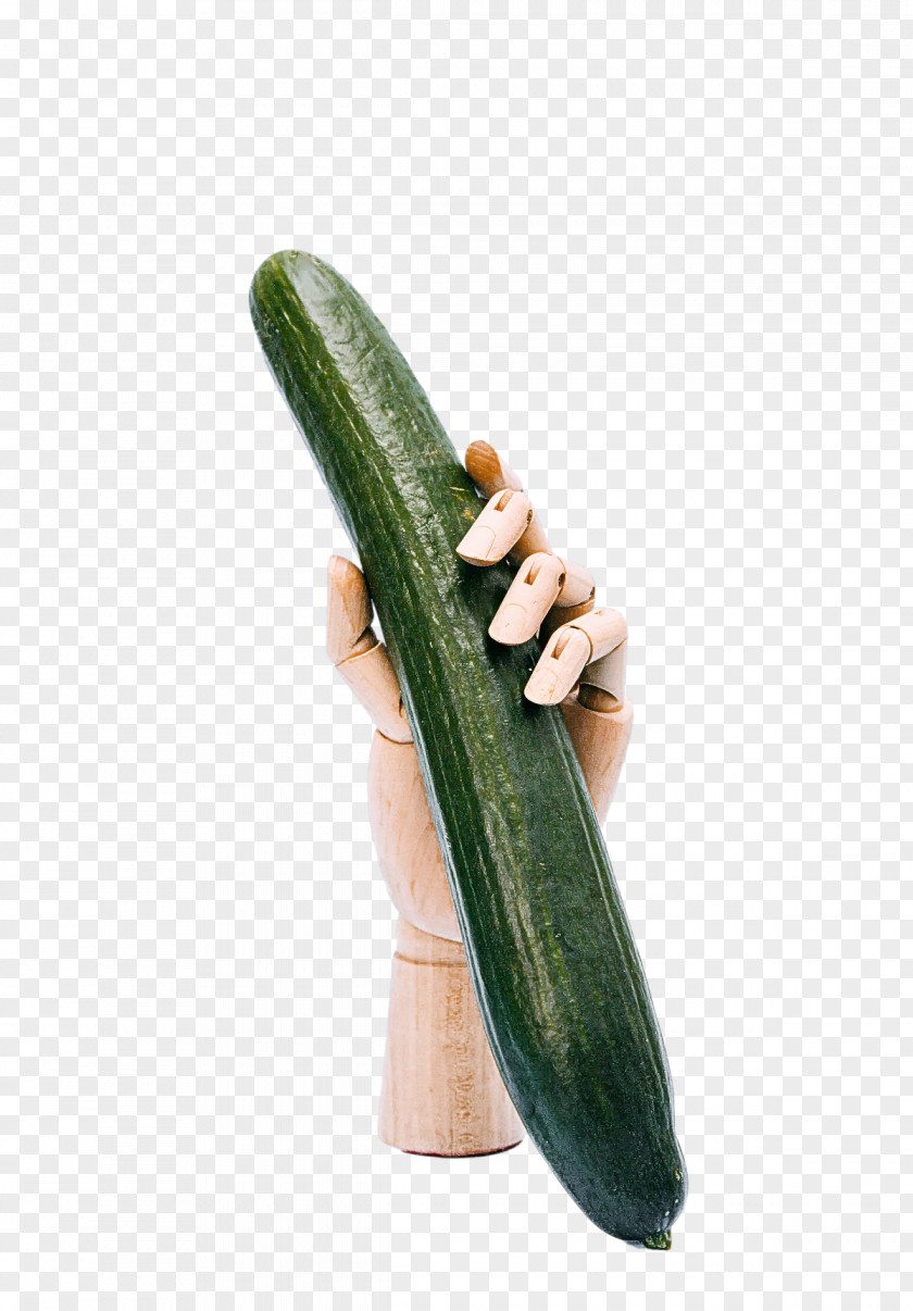 Cucumber Fermented Cucumbers Cucurbits Melon Cucumis PNG