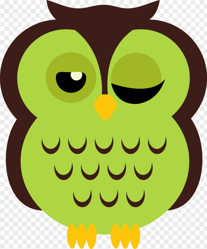 Owl Little Clip Art Drawing Cartoon PNG