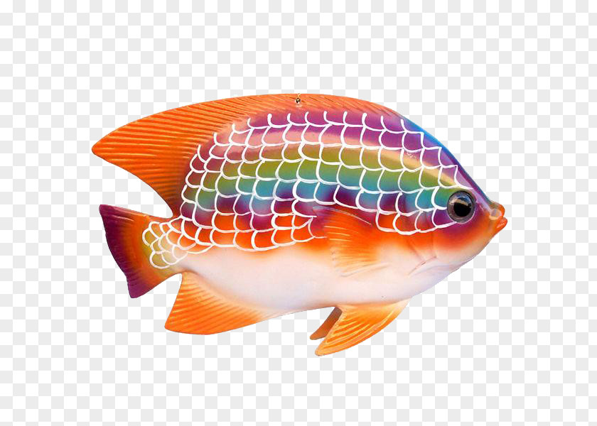 Rainbow Fish Tropical Ornamental Guppy PNG