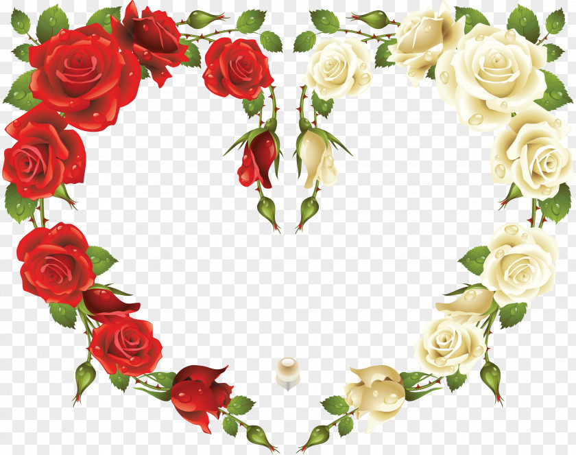 Rose Frame Stock Photography Picture Frames Clip Art PNG